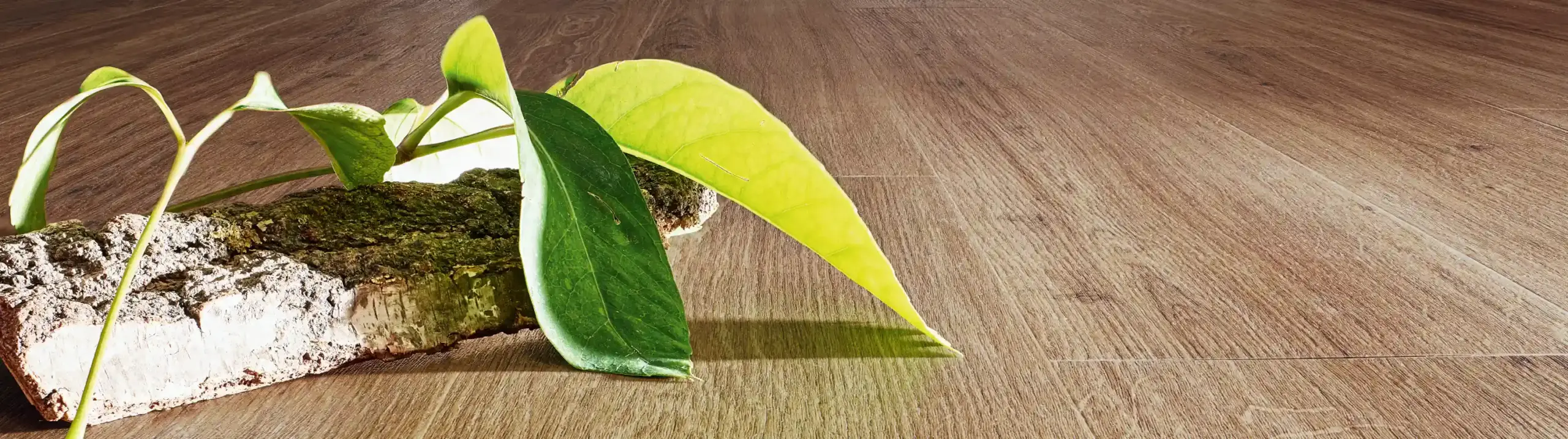 Natürlicher Designboden in Eiche Optik mit realistischer Holzstruktur im Innenraum